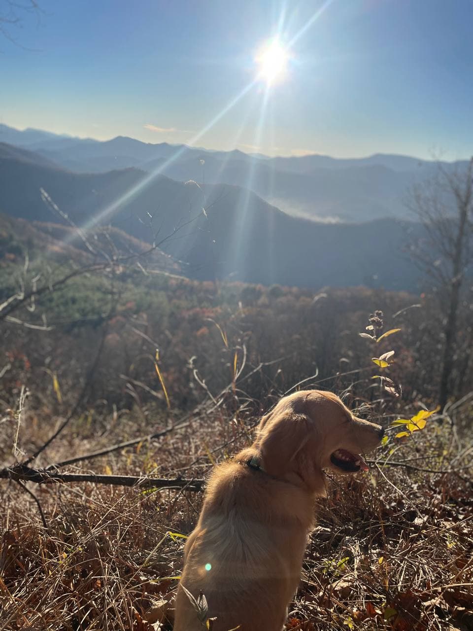 Mountain summit overlooking the Carolina Field Club property