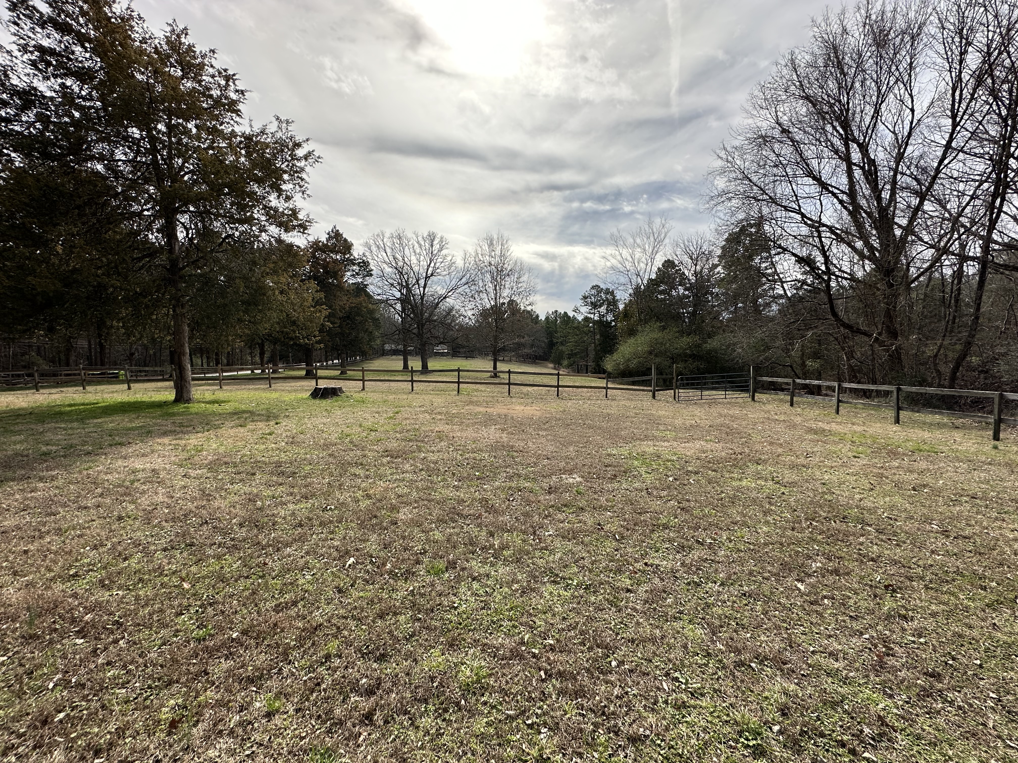 Grounds and fencing at King's Hollow