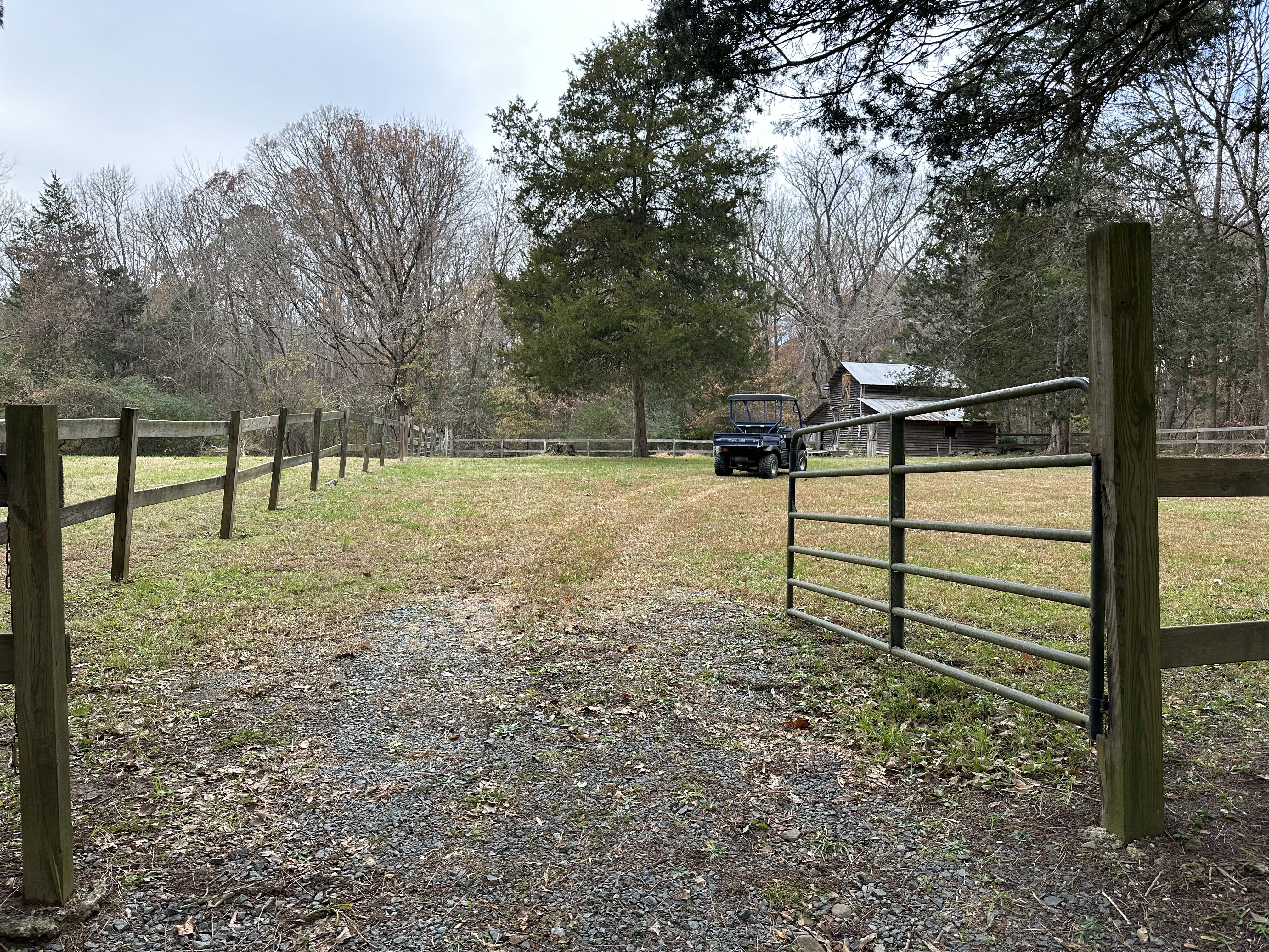 Grounds and fencing at King's Hollow