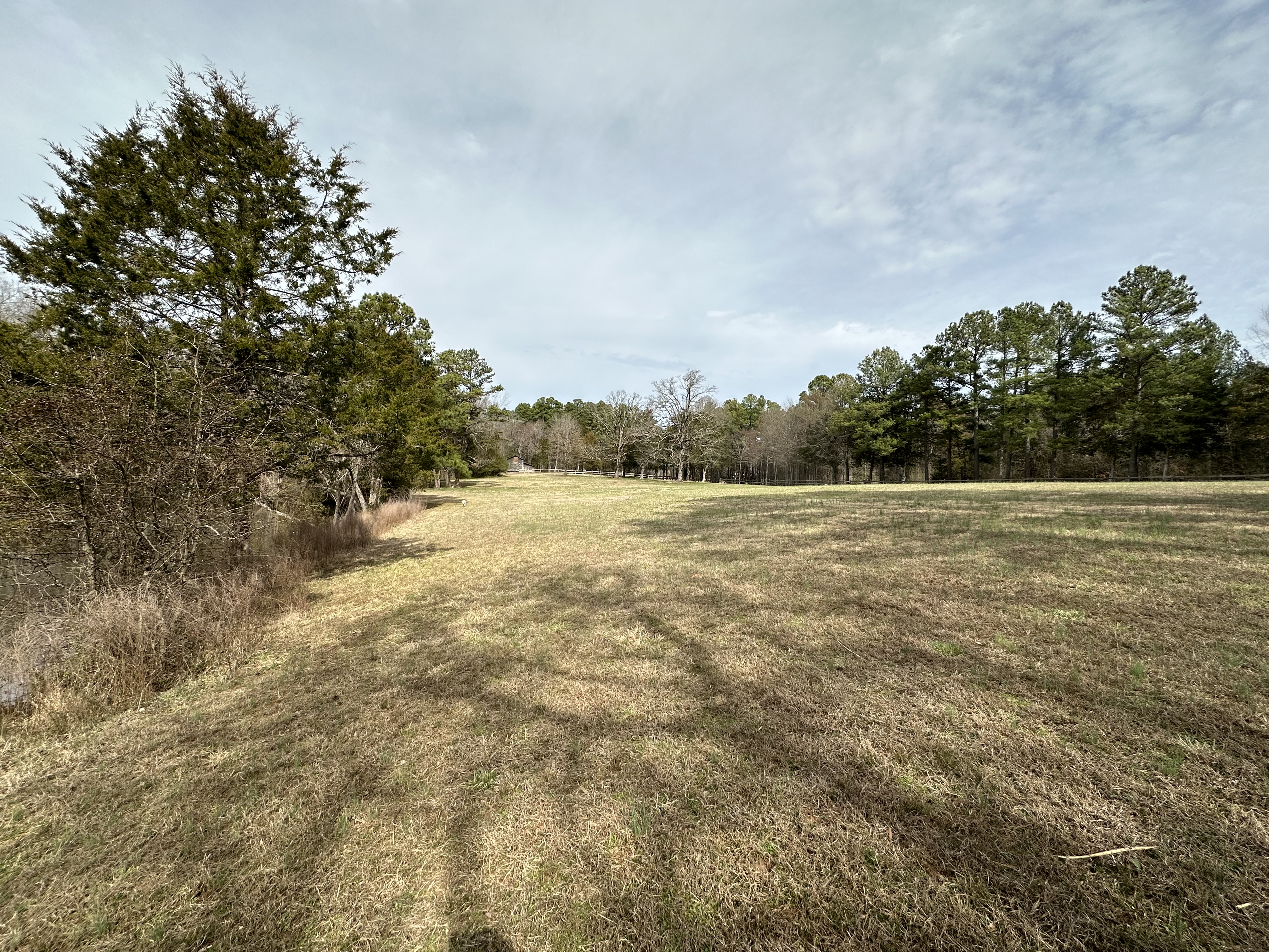 Open land at King's Hollow