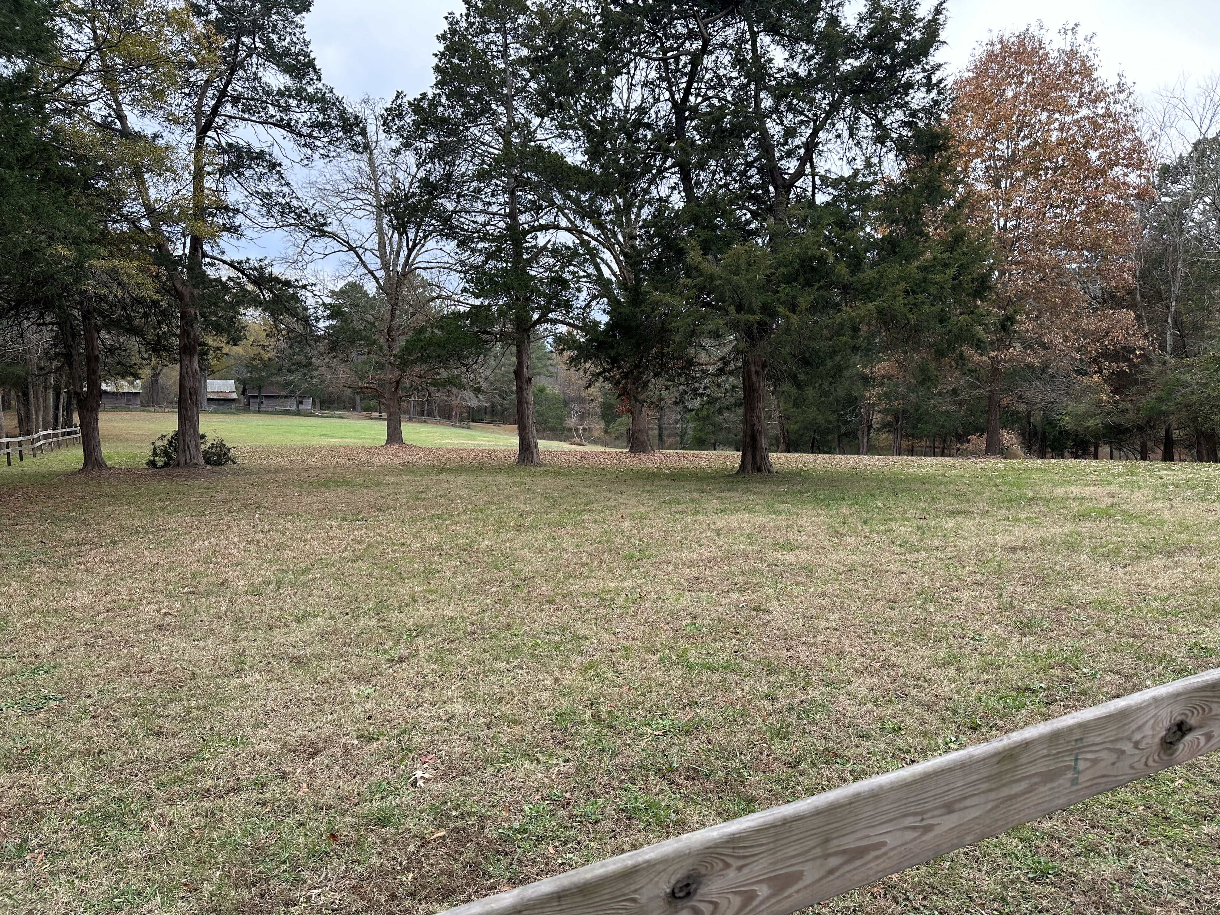 Open land at King's Hollow