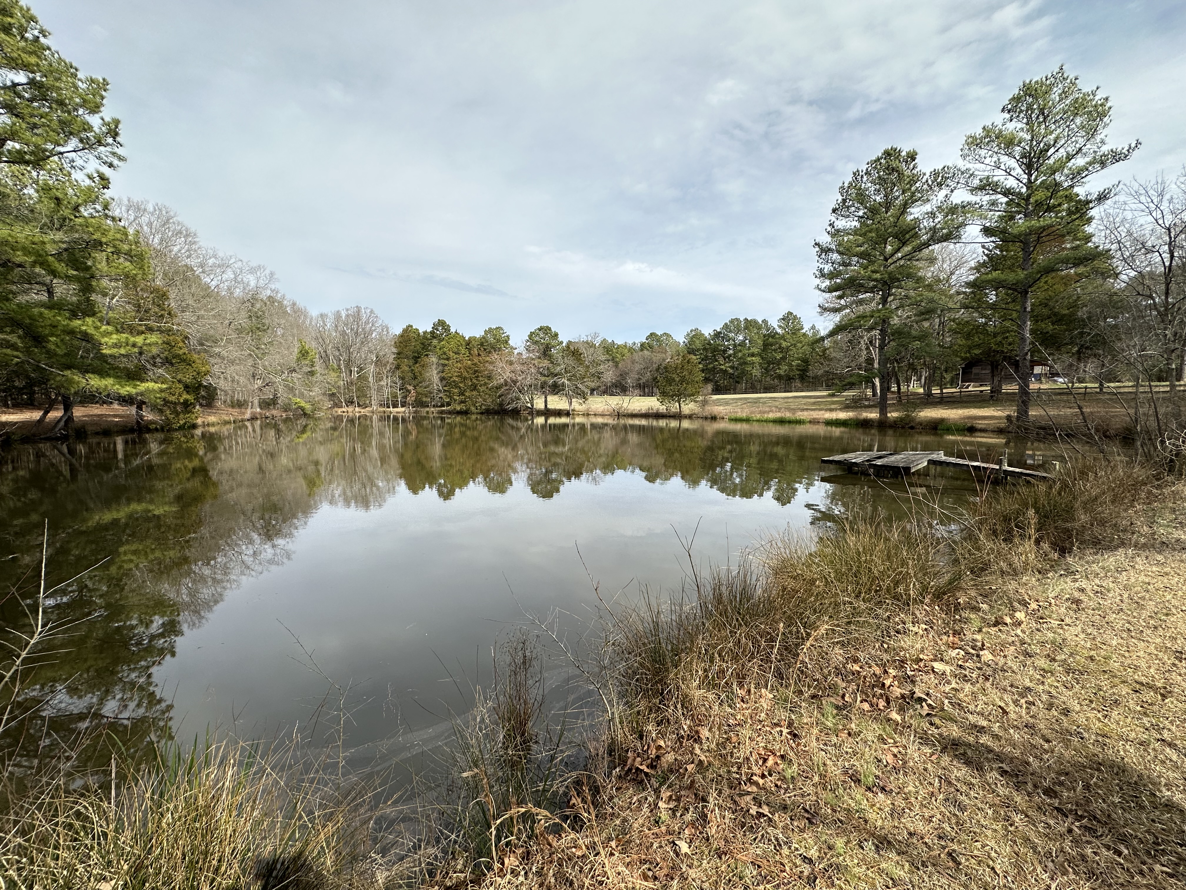 Natural pond on the property