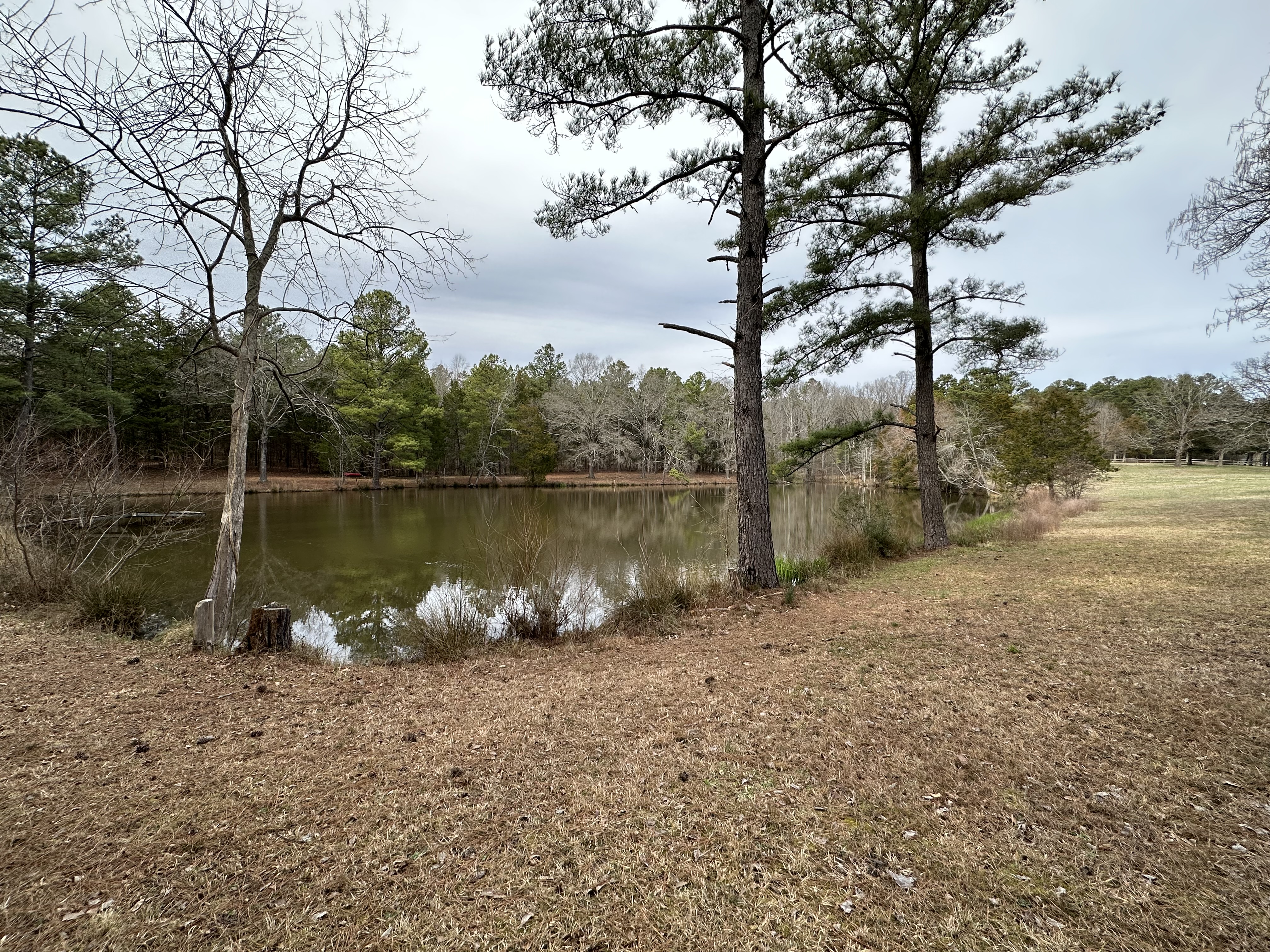 Natural pond on the property