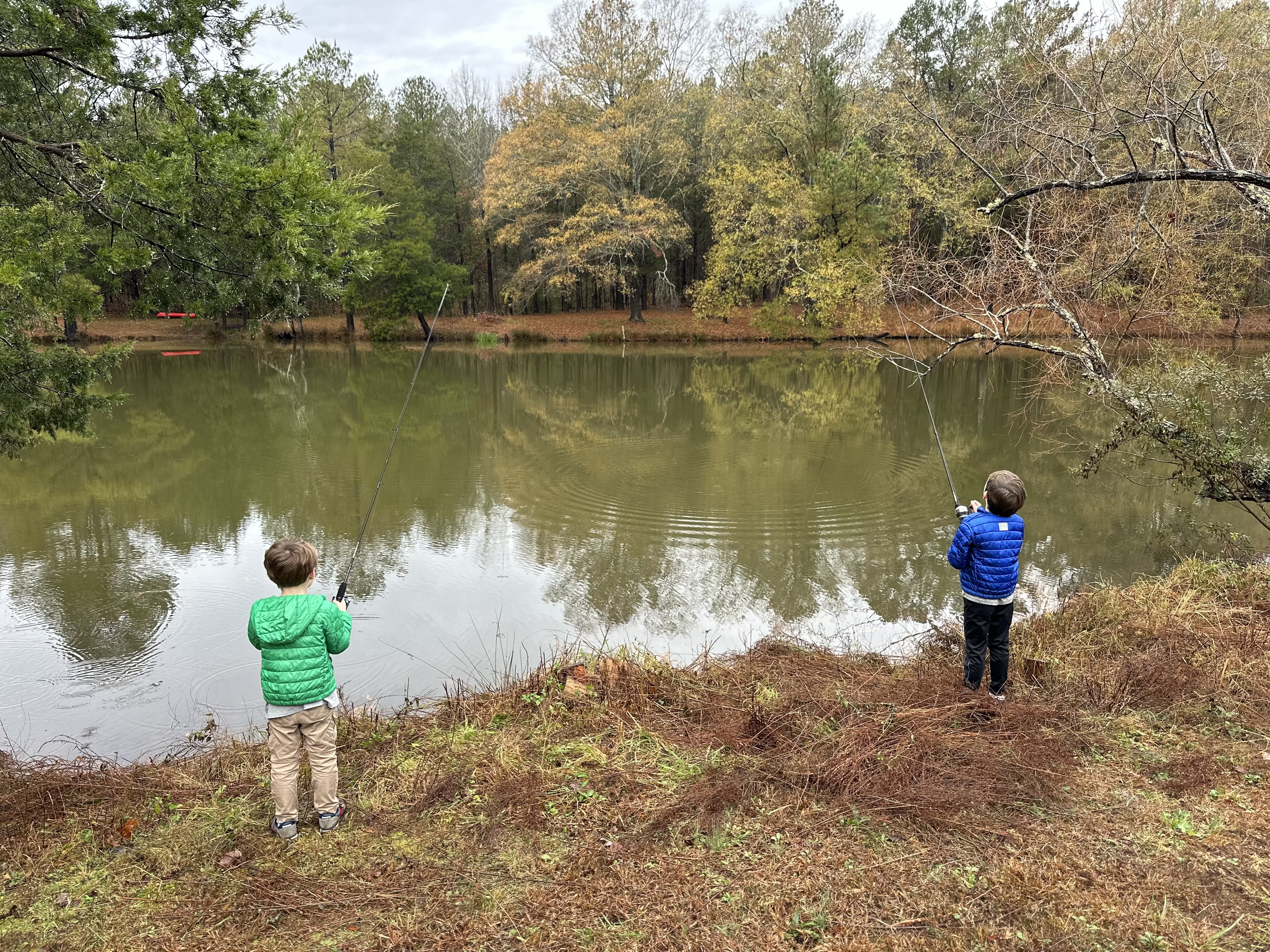 Natural pond on the property